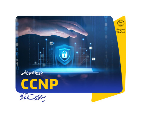  CCNP 